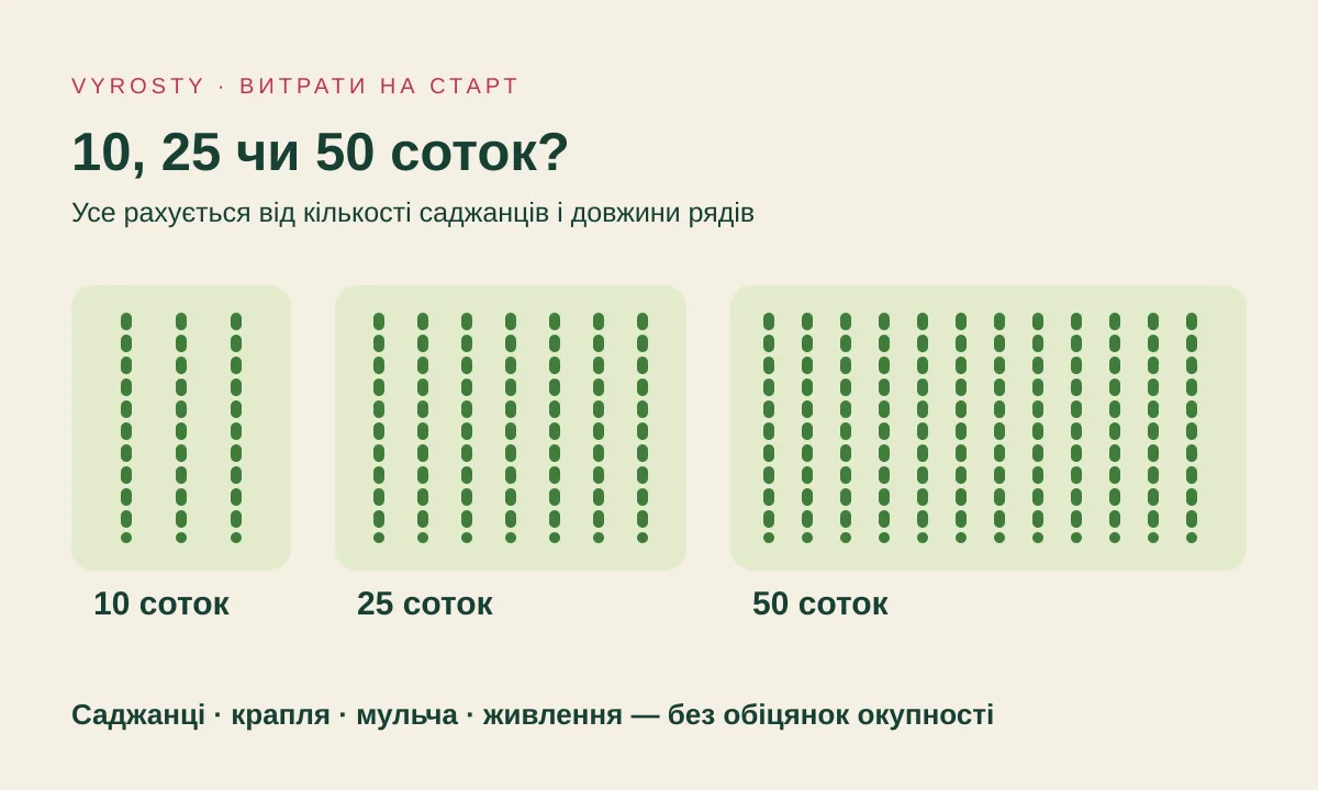 Схема: три ділянки малини різного розміру з рядами, поруч стрічка поливу, рулон мульчі й мішок добрива