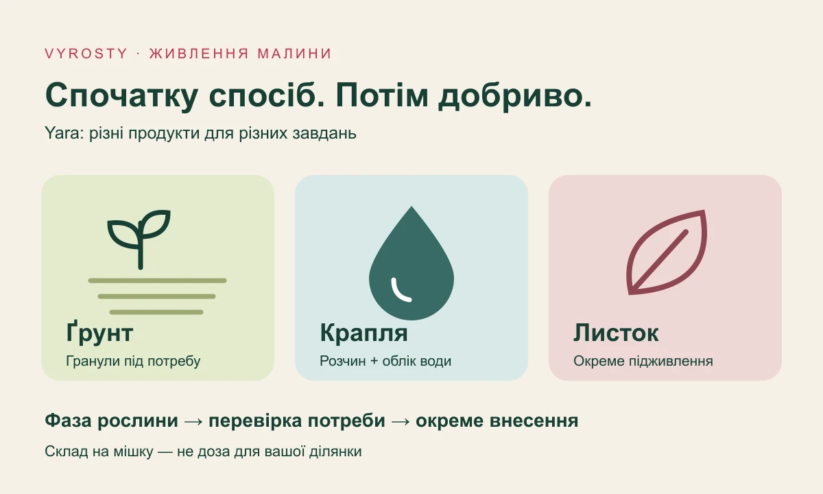 Три окремі способи живлення малини: гранули в ґрунт, розчин через краплю та обприскування листя; вибір залежить від фази рослини